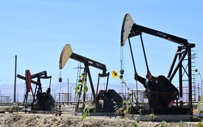 Giá dầu thô tiếp tục giữ đà tăng