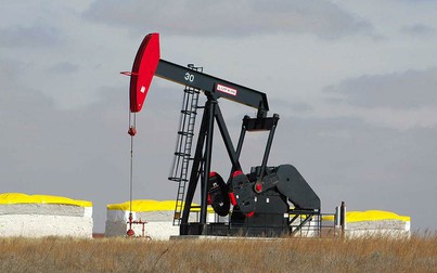 Giá xăng dầu 10/3: Dầu thô duy trì ổn định