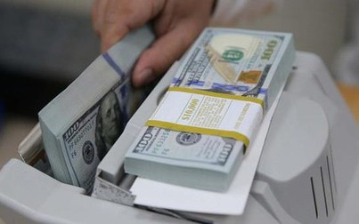 Tỷ giá đồng USD ổn định báo cáo việc làm của Mỹ