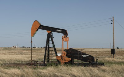 Giá xăng dầu 11/4: Dầu thô duy trì ổn định
