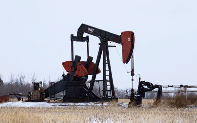 Giá xăng dầu 25/4: Dầu thô kéo dài chuỗi giảm