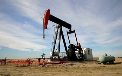 Giá xăng dầu ngày 6/4: Dầu thô duy trì ổn định