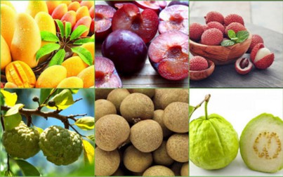 10 loại trái cây ngon ngọt nhưng càng ăn càng nóng vào ngày hè