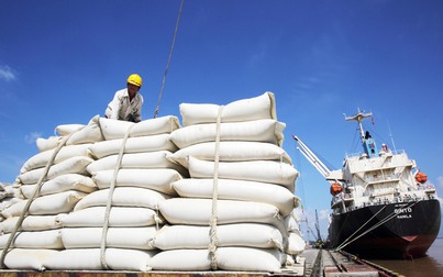 Dự báo xuất khẩu gạo quý 2/2023 tăng trưởng tích cực
