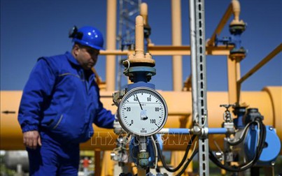 Giá gas ngày 27/5: Giá khí đốt tiếp tục giảm khi cung vẫn vượt cầu