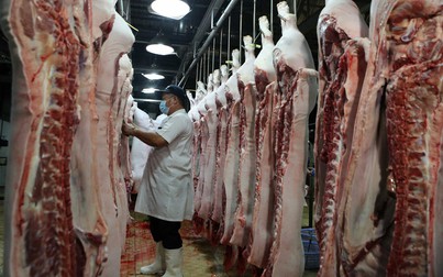 Xuất khẩu thịt của Việt Nam tăng mạnh
