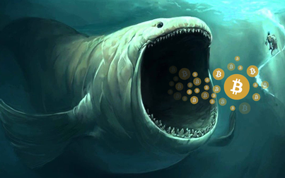 Cá voi tiếp tục tích lũy, giá Bitcoin sẽ tăng đột biến?