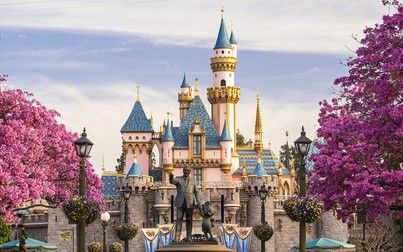 Giá vé Tokyo Disney tăng cao nhất trong vòng 4 thập kỷ