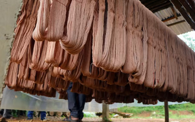 Ấn Độ chuyển hướng sử dụng nguyên liệu xanh trong ngành dệt may