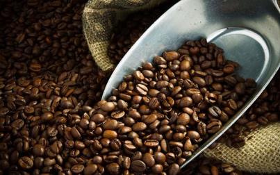 Giá cà phê có thể trái chiều sau dự báo nguồn cung tại Brazil của USDA