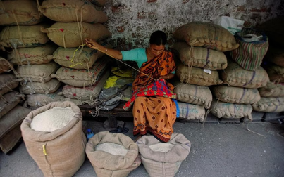 Ấn Độ có thể cấm xuất khẩu hầu hết các loại gạo