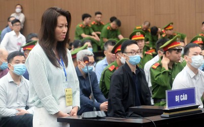 Vụ 'chuyến bay giải cứu': Nữ doanh nhân xin chịu án tù thay cựu Thiếu tướng Nguyễn Anh Tuấn