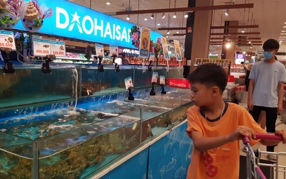 Giá tôm tiếp tục giảm tại các chợ dân sinh TP.HCM