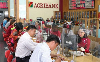 Lãi suất Agribank tháng 7/2023: Tiếp tục giảm tại nhiều kỳ hạn