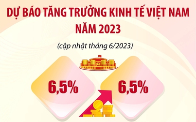 Dự báo lạc quan về tăng trưởng kinh tế Việt Nam 2023