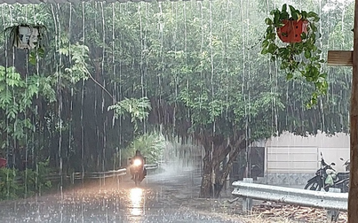 Dự báo thời tiết ngày mai 7/7: Nam bộ mưa rào