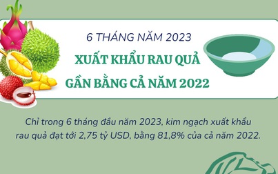 Xuất khẩu rau quả 6 tháng đầu năm 2023 gần bằng cả năm 2022