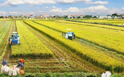 Trung Quốc và nỗi lo an ninh lương thực với 1,4 tỷ dân