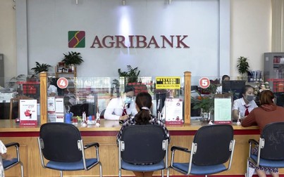 Agribank báo lãi trước thuế gần 13.500 tỷ đồng trong nửa đầu năm 2023
