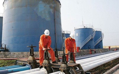 Việt Nam chi gần 5 tỷ USD nhập khẩu xăng dầu trong 7 tháng