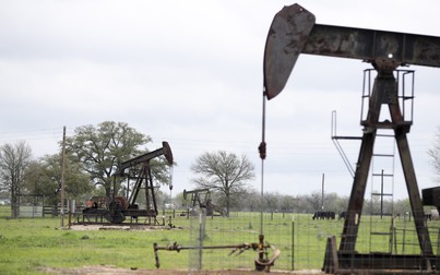 Giá xăng dầu hôm nay 14/9: Dầu thô giảm nhẹ do dự trữ của Mỹ bất ngờ tăng
