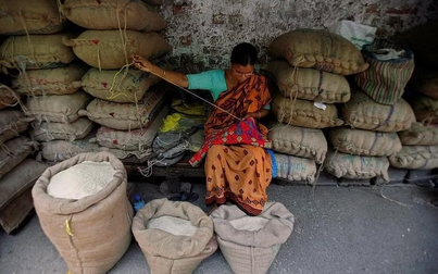 Ấn Độ giảm giá sàn cho xuất khẩu gạo basmati để duy trì tính cạnh tranh