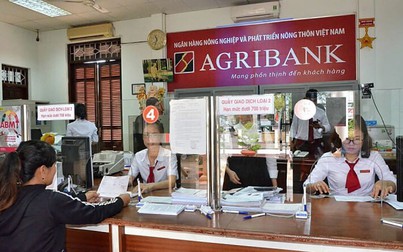 Lãi suất Agribank tháng 9/2023: Giảm tại nhiều kỳ hạn