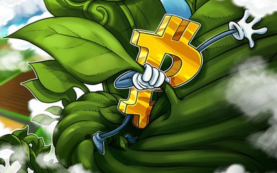 Bitcoin phá mốc 45.000 USD trong bối cảnh phấn khích về khả năng phê duyệt ETF