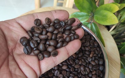 Thiếu hụt nguồn cung, giá cà phê có thể tiếp tục tăng mạnh