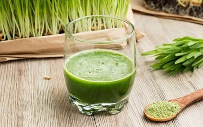 Lợi ích tuyệt vời cho sức khỏe từ mầm lúa mạch