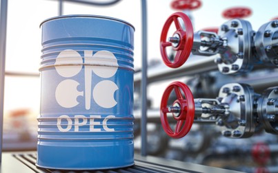 Khủng hoảng Biển Đỏ và việc cắt giảm OPEC+ hỗ trợ giá dầu