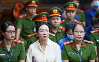 Cựu lãnh đạo SCB phát hiện 'vai trò' của bà Trương Mỹ Lan như thế nào?