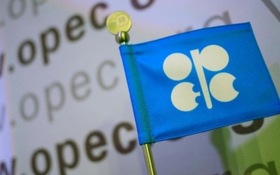 OPEC+ đối mặt với ngã ba đường