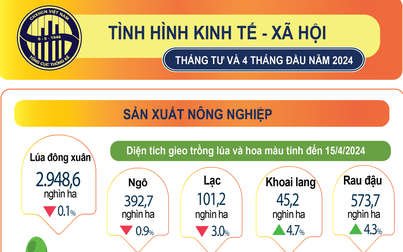 Kinh tế - xã hội 4 tháng: Nhiều lĩnh vực tiếp tục xu hướng tích cực