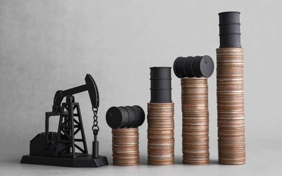 OPEC có quá lạc quan về nhu cầu dầu của Trung Quốc?