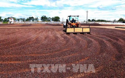 Tránh 'bẫy' gian lận thương mại quốc tế