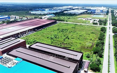 Chính phủ quy định giảm 30% tiền thuê đất năm 2024