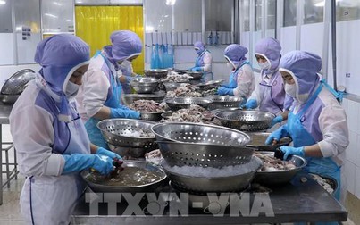 Chính sách tài khóa 'thúc' tăng trưởng