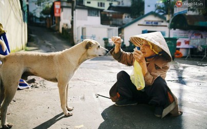 Cụ bà 83 tuổi bầu bạn và nuôi chim trời, chó mèo nơi phố núi Đà Lạt