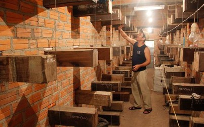 Người dân Khánh Hòa xây nhà nuôi ong dú tránh bão