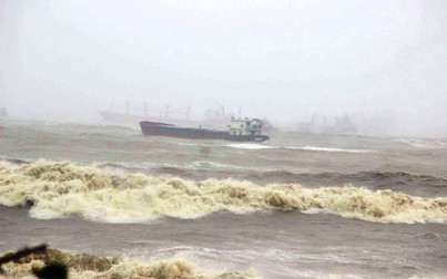Hàng loạt tàu 'khủng' bị sóng đánh chìm, trôi dạt ở biển Quy Nhơn