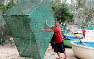 'Thủ phủ' tôm hùm Phú Yên mất trắng vì bão Damrey