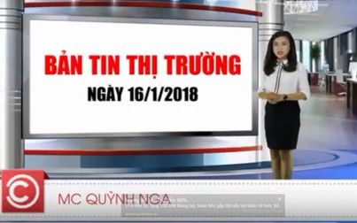 Bản tin thị trường 16/1/2018: Cảnh giác với hạt dưa, hạt hướng dương không rõ nguồn gốc