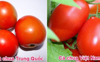 Rau củ quả Trung Quốc và Việt Nam khác nhau như thế nào?