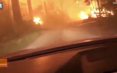 2 cha con thoát chết khi phóng xe qua khu rừng bốc cháy như phim hành động