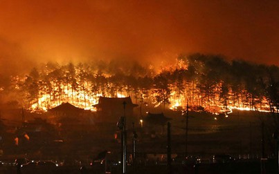 Hỏa hoạn nghiêm trọng, Hàn Quốc ban bố tình trạng khẩn cấp