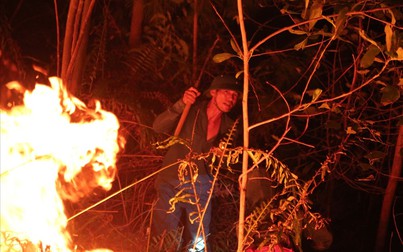Hơn 500 người trắng đêm dập lửa bùng phát trở lại ở Hà Tĩnh