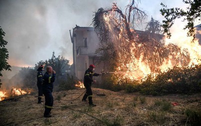 Cháy rừng tại đảo Evia, Hy Lạp ban bố tình trạng khẩn cấp
