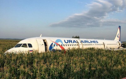 Chim lao vào động cơ, máy bay Airbus A321 hạ cánh khẩn cấp ở Nga