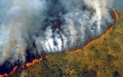 Rừng Amazon cháy lớn, khói phủ đen trời ở Brazil